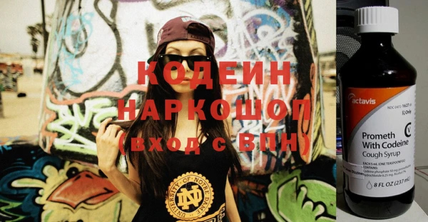 шишки Нягань